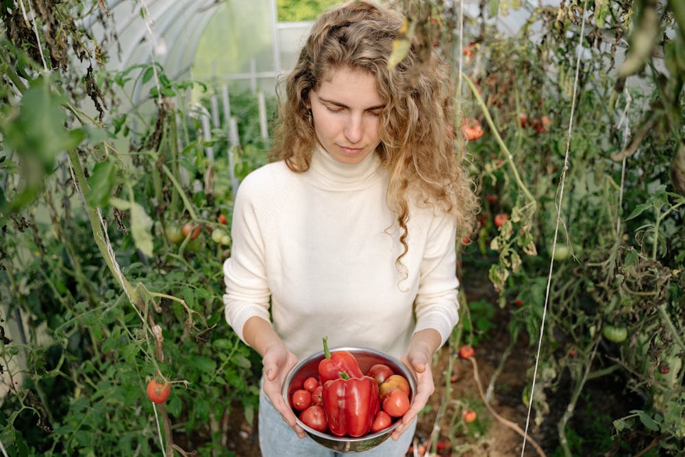 Women growing vegetables at home